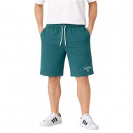 Champion Shorts (222406 GS511)