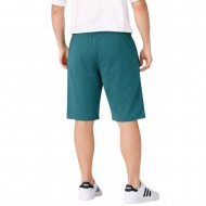 Champion Shorts (222406 GS511)