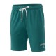 Champion Shorts (222406 GS511)
