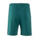 Champion Shorts (222406 GS511)