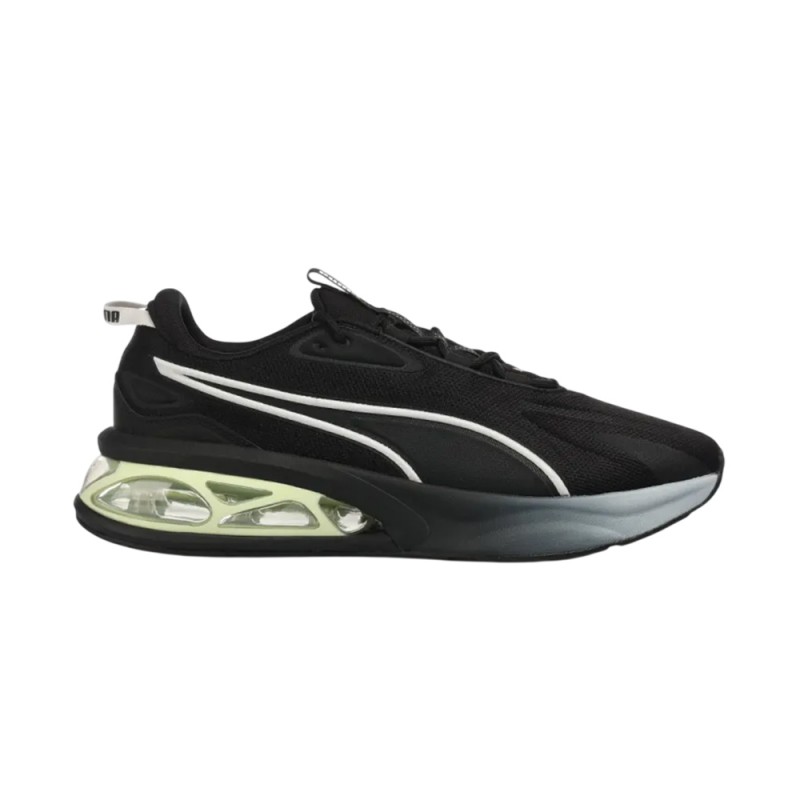 Puma Solar (311175 10)