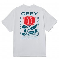 OBEY IN BLOOM TEE (165264329 WHT)