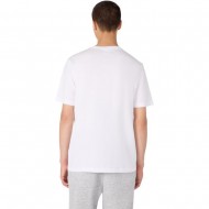 Champion SS Tee (221798 WW001)