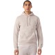 Champion Hoodie Sweatshirt (222990 ES084)