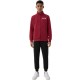 Champion Sweatsuit (307261 RS508)