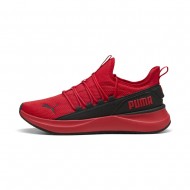 Puma Softride Carson 2 Pulse (313502 03)