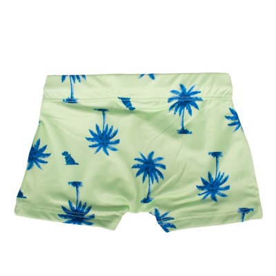 Quimby UPF 50+ SUN PROTECTION SWIMMING TRUNKS (34744 Green)