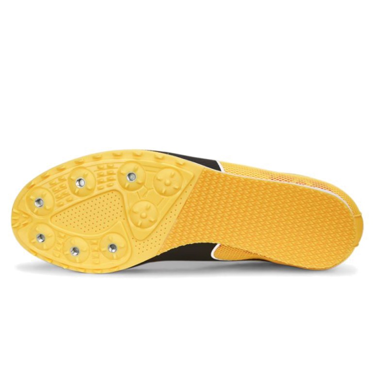 Puma evoSPEED Star 8 Junior (377960 01)