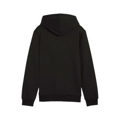Puma ESS+ 2 Col Big Logo Hoodie FL (586987 60) Puma ESS+ 2 Col Big Logo Hoodie FL (586987 60)