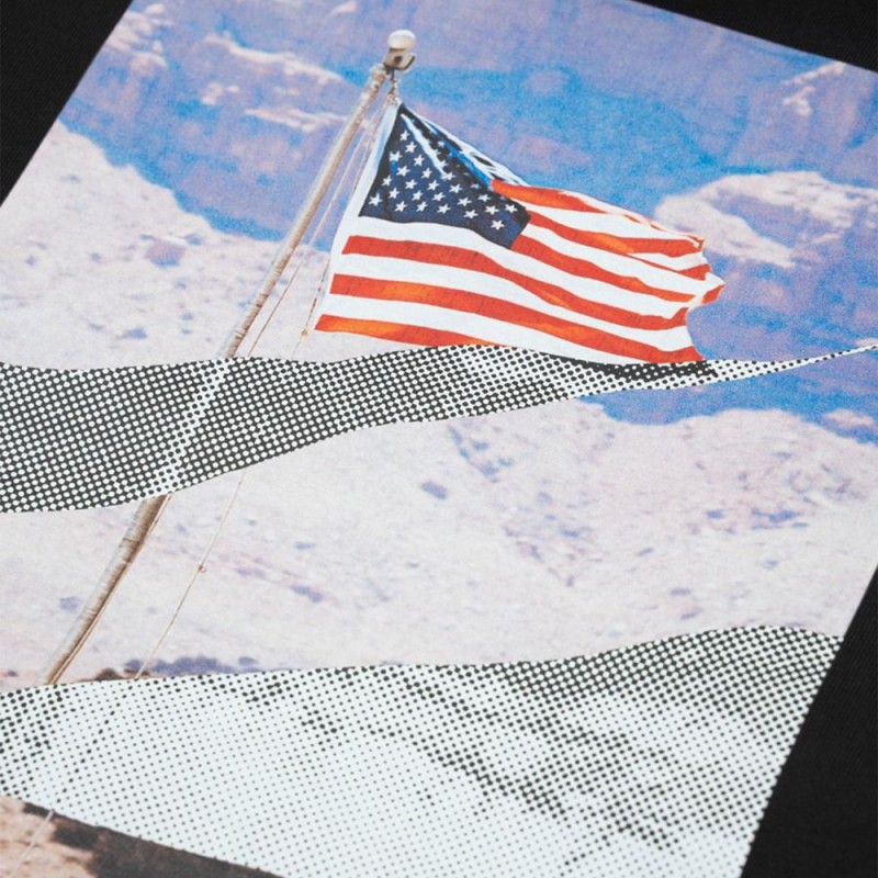 Caterpillar Workwear STARS AND STRIPES HOODIE (6050177 10158)