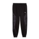 Puma SPORT ANIMAL Comfort Pants FL (637612 01)