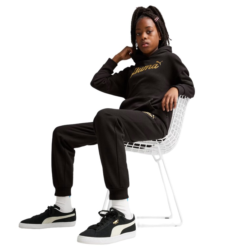 Puma ESS+ SCRIPT Metallic Hoodie FL G (682780 01)