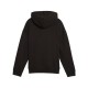 Puma ESS+ SCRIPT Metallic Hoodie FL G (682780 01)