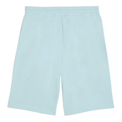 Puma ESS 2 COLOR No. 1 Logo Shorts 10 inch TR (684715 48) Puma ESS 2 COLOR No. 1 Logo Shorts 10 inch TR (684715 48)