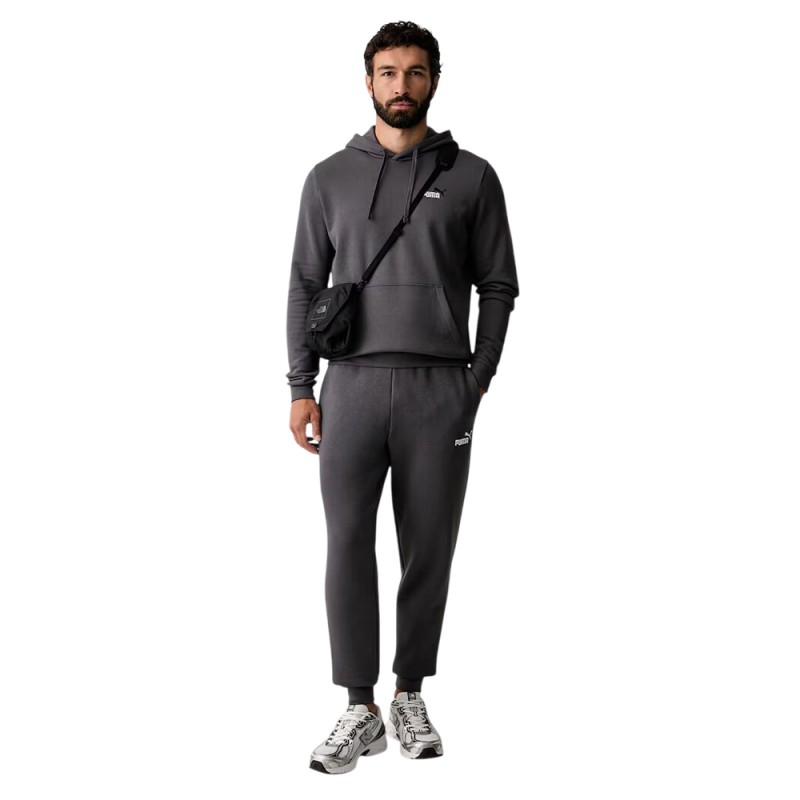Puma ESS 2 COLOR Small No. 1 Logo Hoodie FL (684718 77)