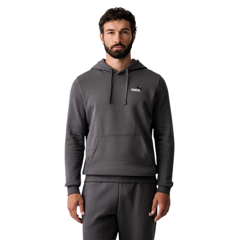 Puma ESS 2 COLOR Small No. 1 Logo Hoodie FL (684718 77)