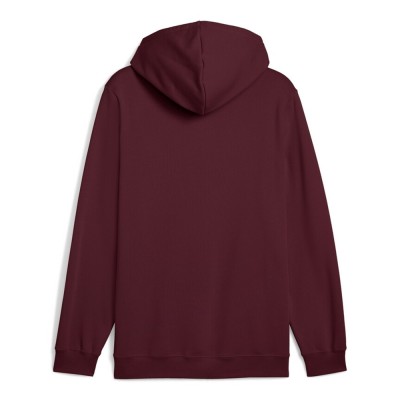 Puma ESS 2 COLOR Small No. 1 Logo Hoodie FL (684718 96)