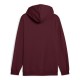 Puma ESS 2 COLOR Small No. 1 Logo Hoodie FL (684718 96)