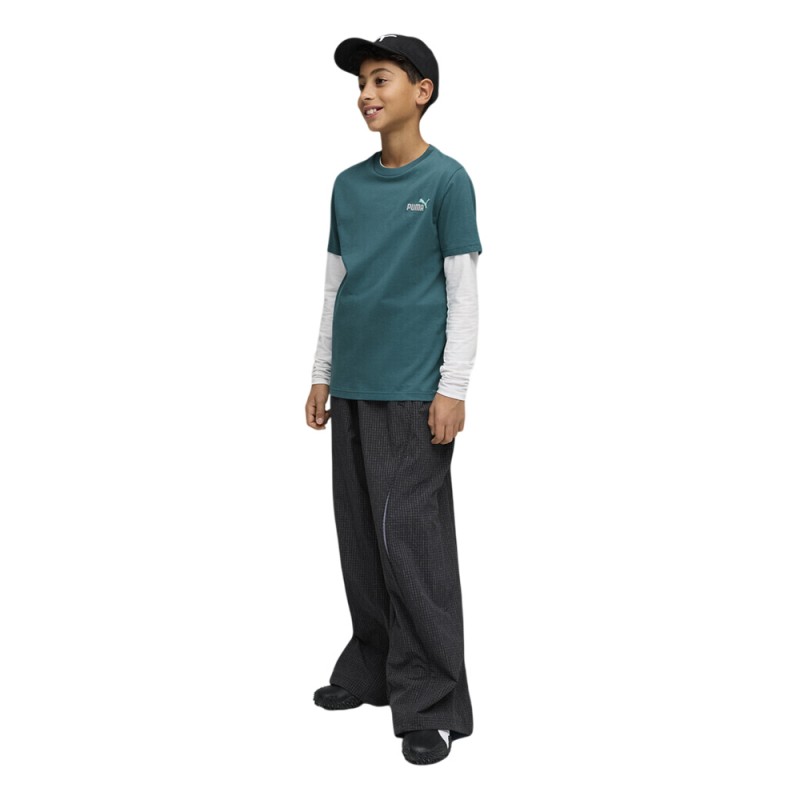Puma ESS 2 COLOR Small No. 1 Logo Tee B (685779 41)