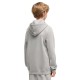 Puma ESS 2 COLOR Small No. 1 Logo Hoodie FL B (685825 63)