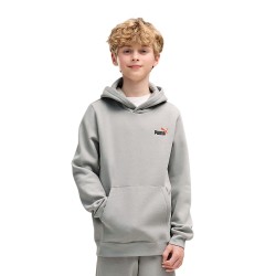 Puma ESS 2 COLOR Small No. 1 Logo Hoodie FL B (685825 63)