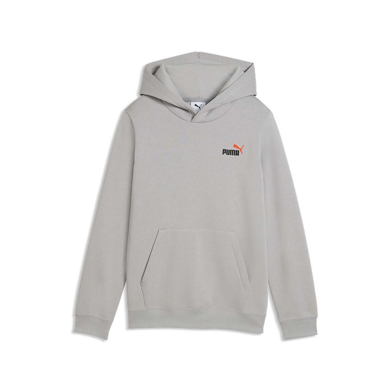Puma ESS 2 COLOR Small No. 1 Logo Hoodie FL B (685825 63)