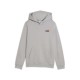 Puma ESS 2 COLOR Small No. 1 Logo Hoodie FL B (685825 63)