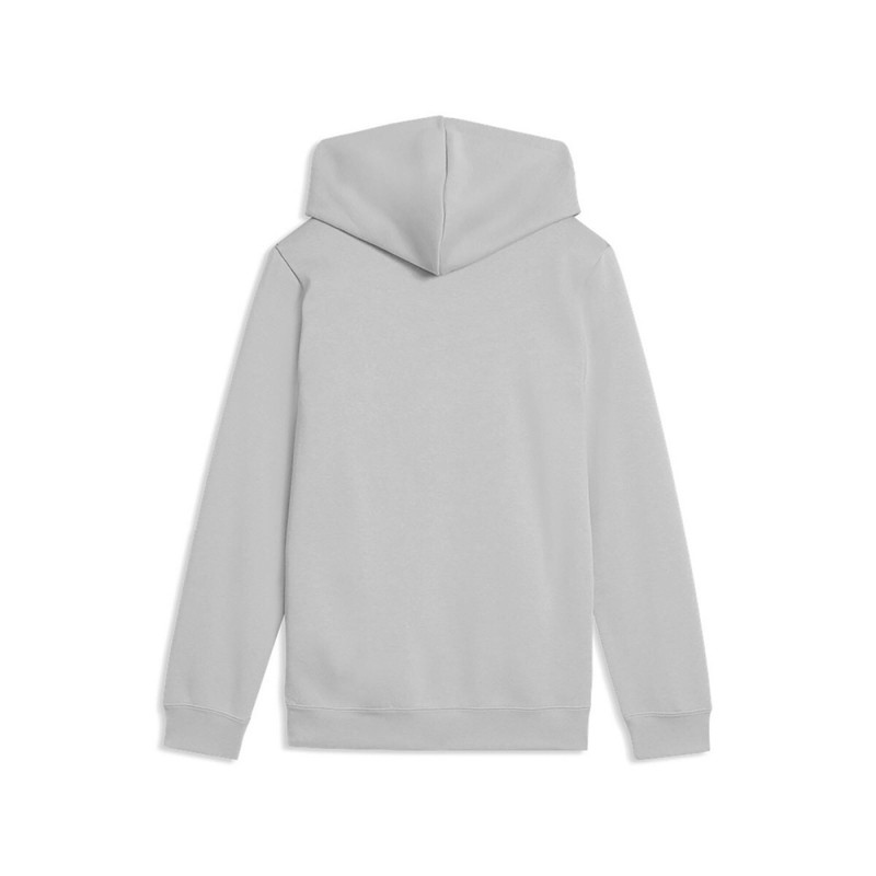 Puma ESS 2 COLOR Small No. 1 Logo Hoodie FL B (685825 63)