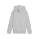 Puma ESS 2 COLOR Small No. 1 Logo Hoodie FL B (685825 63)