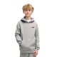 Puma ESS 2 COLOR Small No. 1 Logo Hoodie FL B (685825 63)