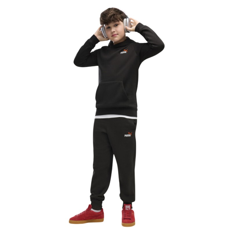 Puma ESS 2 COLOR Small No. 1 Logo Hoodie FL B (685825 71)