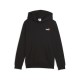Puma ESS 2 COLOR Small No. 1 Logo Hoodie FL B (685825 71)