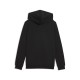 Puma ESS 2 COLOR Small No. 1 Logo Hoodie FL B (685825 71)