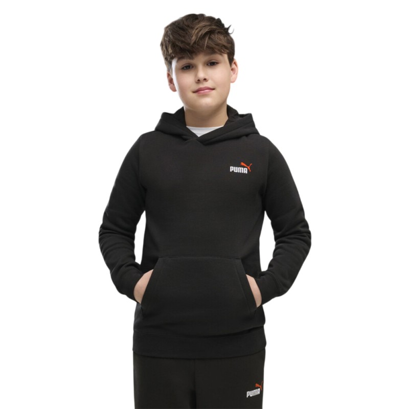 Puma ESS 2 COLOR Small No. 1 Logo Hoodie FL B (685825 71)