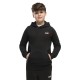 Puma ESS 2 COLOR Small No. 1 Logo Hoodie FL B (685825 71)