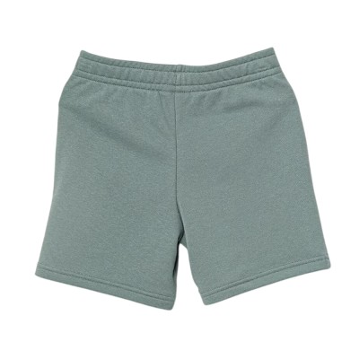 Puma ESS 2 COLOR No. 1 Logo Shorts TR B (685826 42) Puma ESS 2 COLOR No. 1 Logo Shorts TR B (685826 42)