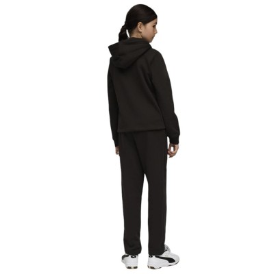 Puma Metallic Hooded Sweat Suit FL G (689729 01) Puma Metallic Hooded Sweat Suit FL G (689729 01)