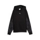 Puma SPORT ANIMAL Standard Hoodie FL (694007 01)
