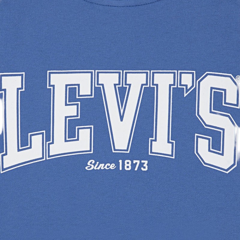 Levi's LVB THE GREAT HIGHWAY HOODIE (8EN718-U6K)