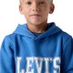 Levi's LVB THE GREAT HIGHWAY HOODIE (8EN718-U6K)