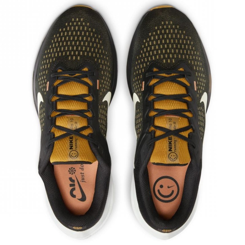 Nike Winflo 10 Men's Road Run (DV4022-009)