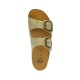 SCHOLL NOELLE (F007341054 1054)