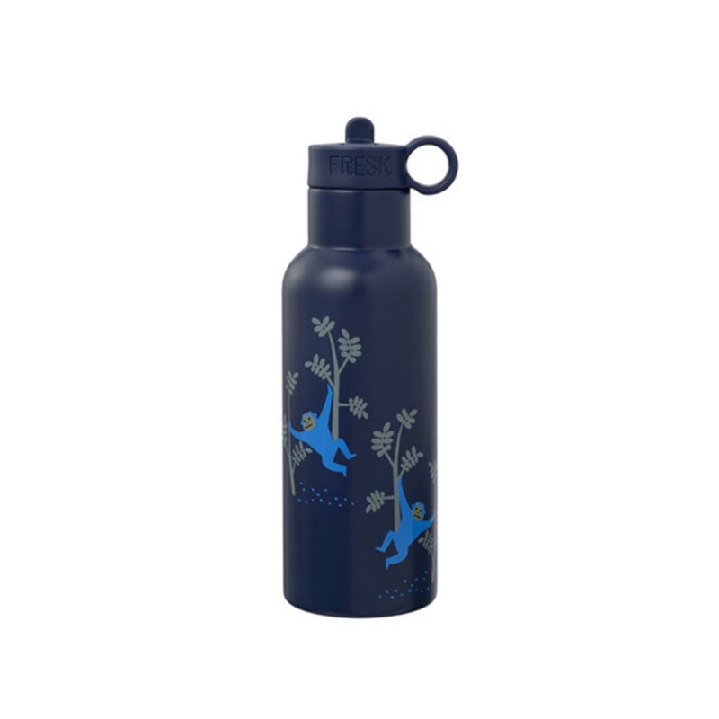 Fresk Θερμός από ανοξείδωτο ατσάλι 500ml με διπλό πώμα (FR-FD320 27)