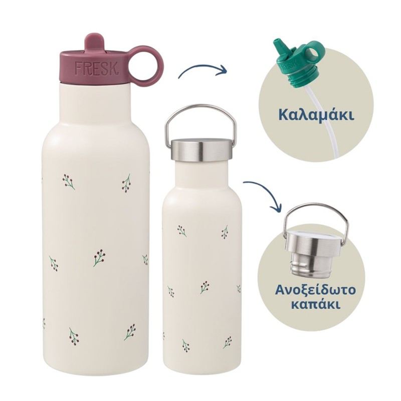 Fresk Θερμός από ανοξείδωτο ατσάλι 500ml με διπλό πώμα (FR-FD320 88)