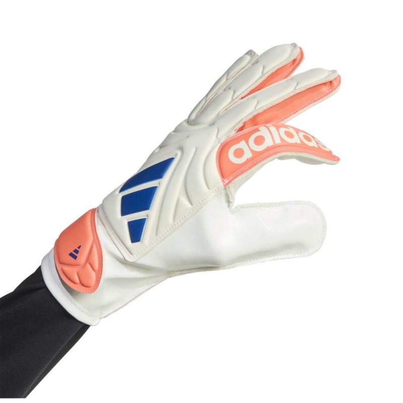 Adida COPA GL CLB J (JN5342)