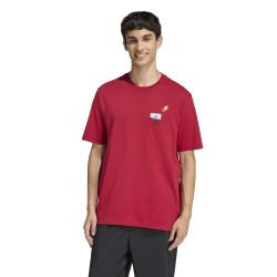 Adidas MINI EMBROIDERY BASKETBALL GRAPHIC T-SHIRT (KB2525)