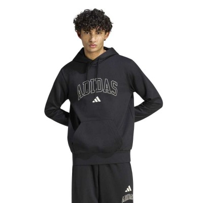 Adidas COLLEGIATE SCRIPT GRAPHIC HOODIE (KC7187)