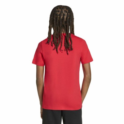 Adidas COLLEGIATE GRAPHIC T-SHIRT JUNIOR (KE1335) Adidas COLLEGIATE GRAPHIC T-SHIRT JUNIOR (KE1335)