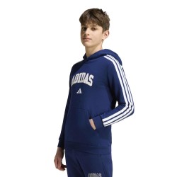 Adidas CODES COLLEGIATE GRAPHIC HOODIE (KE1634)