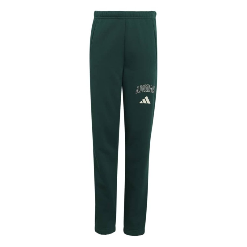 Adidas Seasonals Collegiate Typography Pants Junior (KS5129)